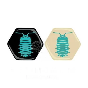 Hive: Onisco (non pocket)