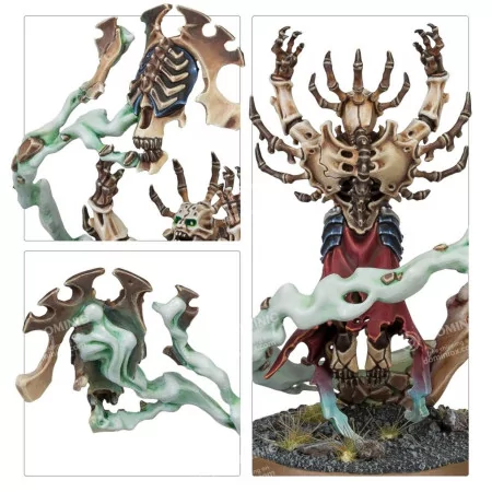 Ossiarch Bonerippers: Spearhead – Mortisan Elite | Box 9