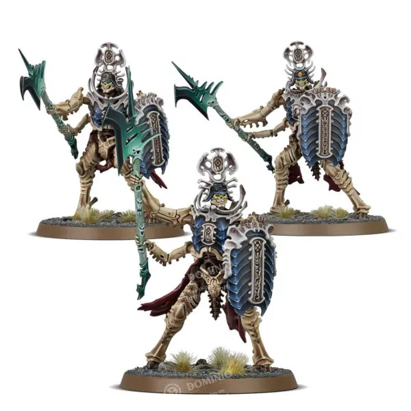 Ossiarch Bonerippers: Spearhead – Mortisan Elite | Box 9