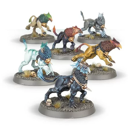 Stormcast Eternals: Gryph Hounds | Box 6