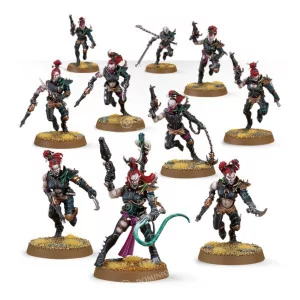 Drukhari: Wyches | Box 10