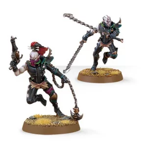 Drukhari: Wyches | Box 10 2