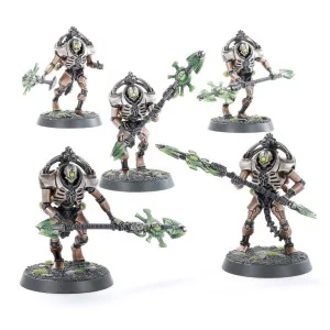 Necrons: Triarch Praetorians | Box 5