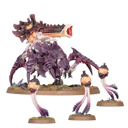 Tyranids: Assault Brood Combat Patrol | Box 18 *DAY ONE: 09/08/2025