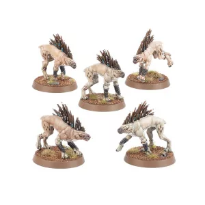 Tau Empire: Kroot Hounds | Box 5