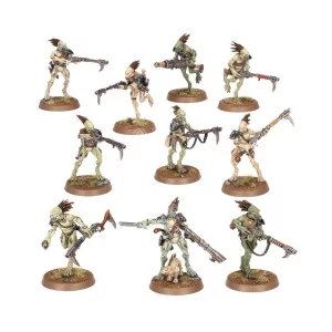 Tau Empire: Kroot Carnivores | Box 10