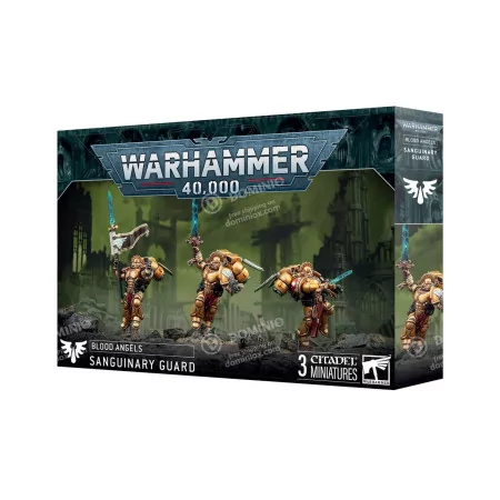 Blood Angels: Sanguinary Guard 2024 | Box 3