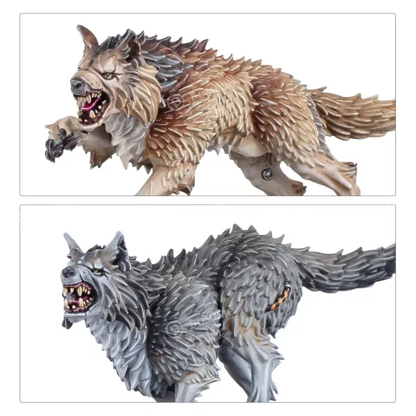 Space Wolves: Set D'armata | 10 Edizione | 2025 | ITALIANO