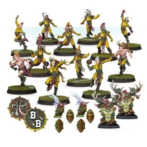 Blood Bowl: Wood Elf Team | Box 12