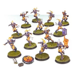Blood Bowl: The Elfheim Eagles Team | Box 12