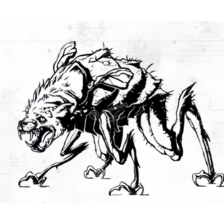 L'Ultima Rotta: Corruzione Nel Vuoto *DAY ONE: 29/10/2025