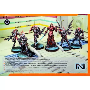 Infinity: Combined Army Starter Pack (6) 2